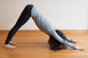 Luci in Adho Mukha Svanasana. Photo by Tracy Jean Wong