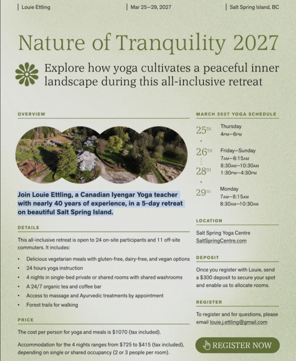 Nature of tranquility workshop poster